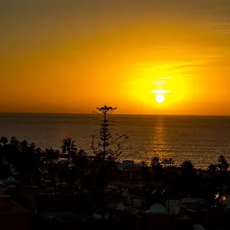 Apartment Ponderosa 611: Oceanview Near Siam Park Playa de las Americas (Tenerife)